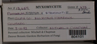 Image Associated With the Occurence